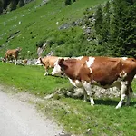 Gaestehaus Christoph * Ried im Zillertal