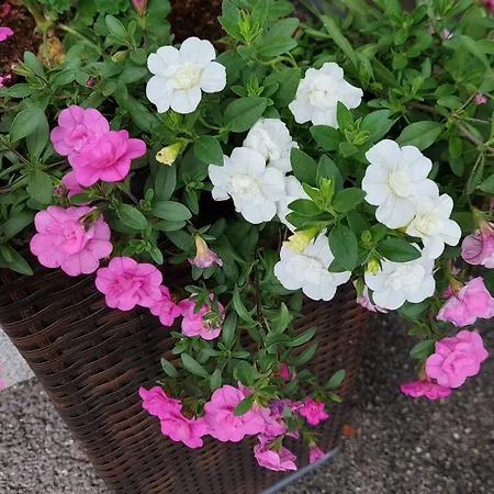 Gaestehaus Christoph *