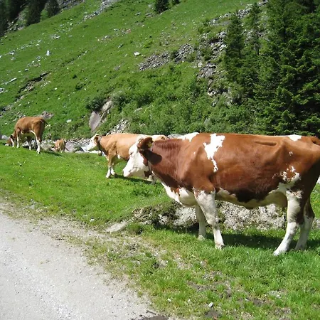 Gaestehaus Christoph * Ried im Zillertal