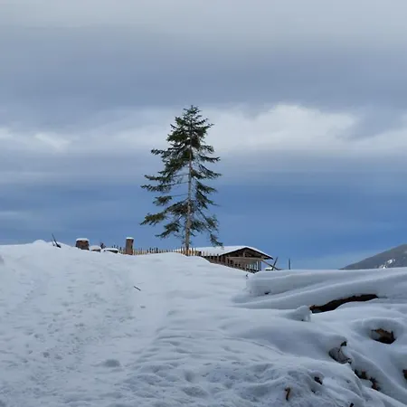 Séjour chez l'habitant Gaestehaus Christoph
