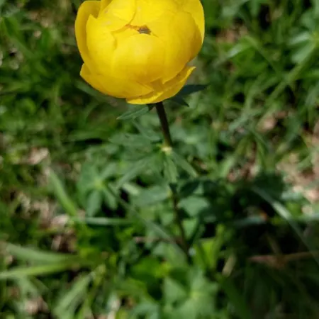 Gaestehaus Christoph Séjour chez l'habitant *
