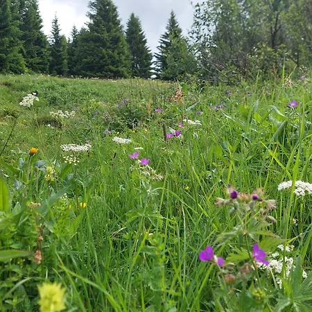 Séjour chez l'habitant Gaestehaus Christoph *