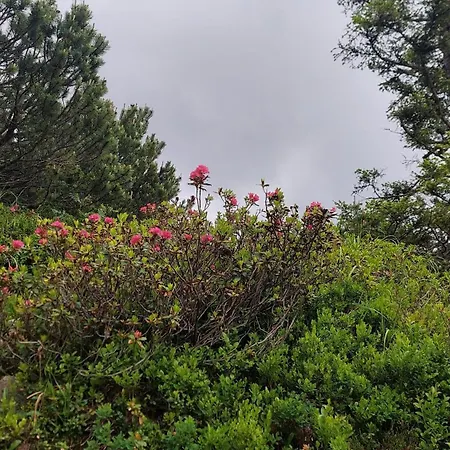 Gaestehaus Christoph * Ried im Zillertal