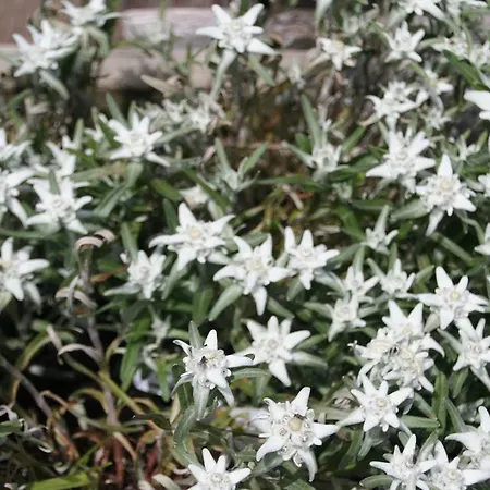 Gaestehaus Christoph Séjour chez l'habitant